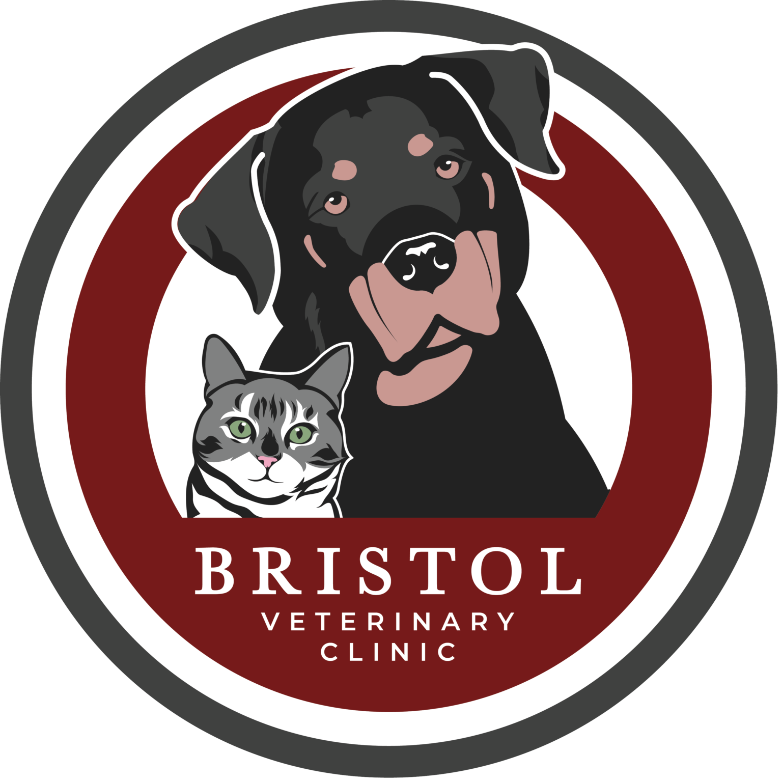 general-practice-bristol-veterinary-clinic